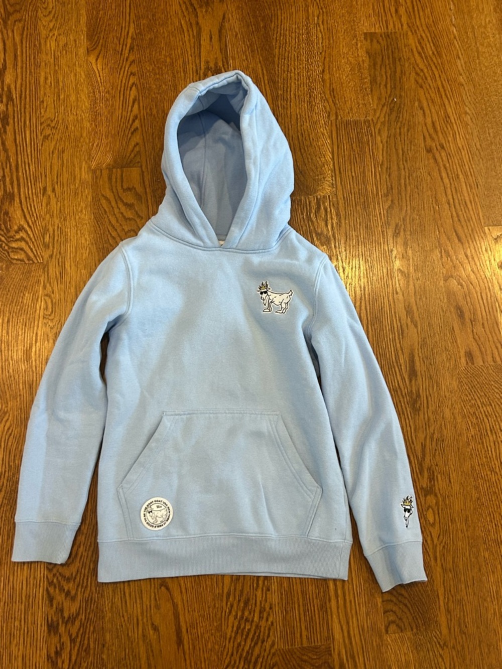 GOAT USA Classic Light Blue Kids Hoodie Sweatshirt-Size Med Youth